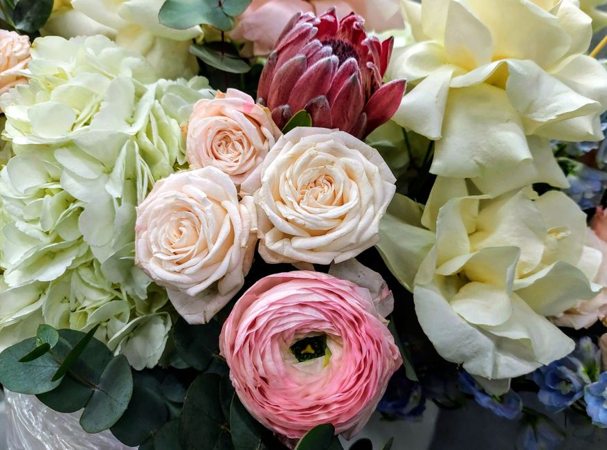 A close-up arrangement of fresh flowers featuring creamy white hydrangeas, soft blush-pink roses, a single large pink ranunculus, and pale yellow calla lilies, all with vibrant green eucalyptus leaves